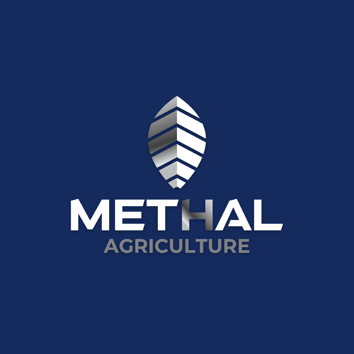 Página Campeira ADM.