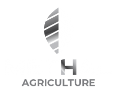 Página Campeira ADM.